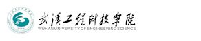 武漢工程科技學院