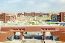 新疆大學